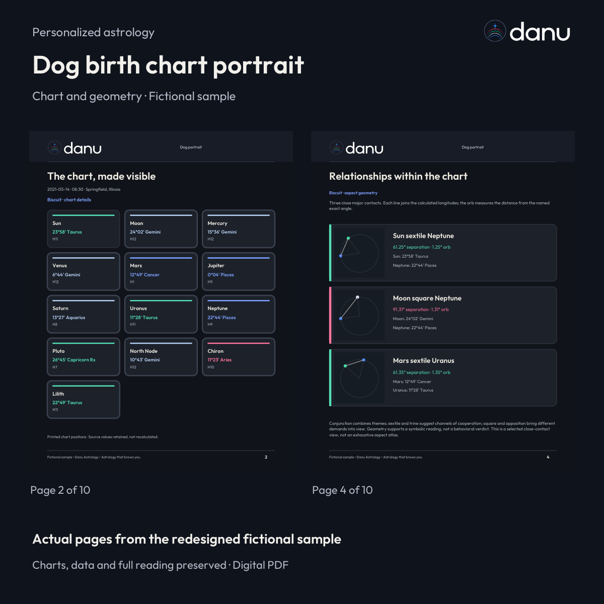 Dog birth chart portrait — Standard fictional sample, actual report pages