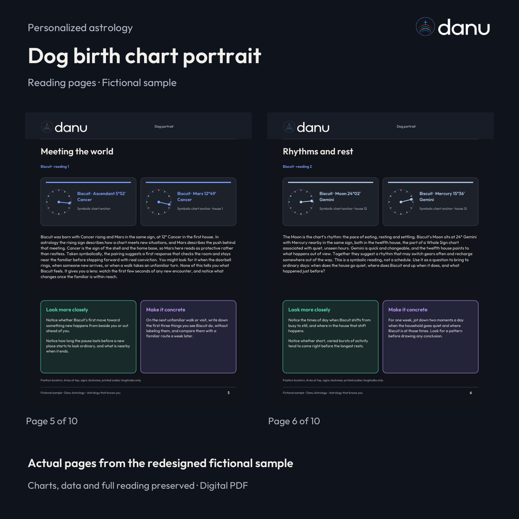 Dog birth chart portrait — Standard fictional sample, clearly labeled edition or reading pages