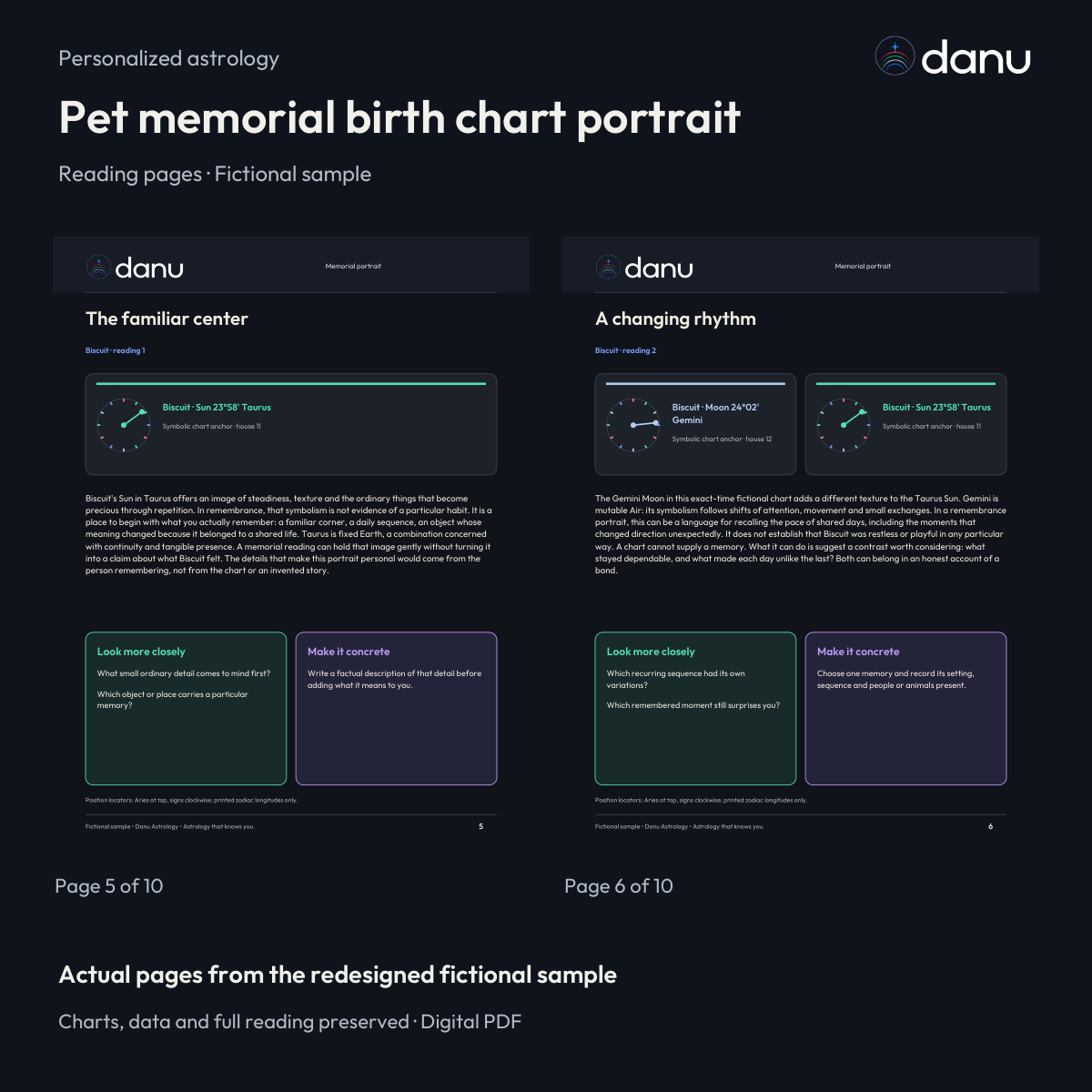 Pet memorial birth chart portrait — Standard fictional sample, clearly labeled edition or reading pages