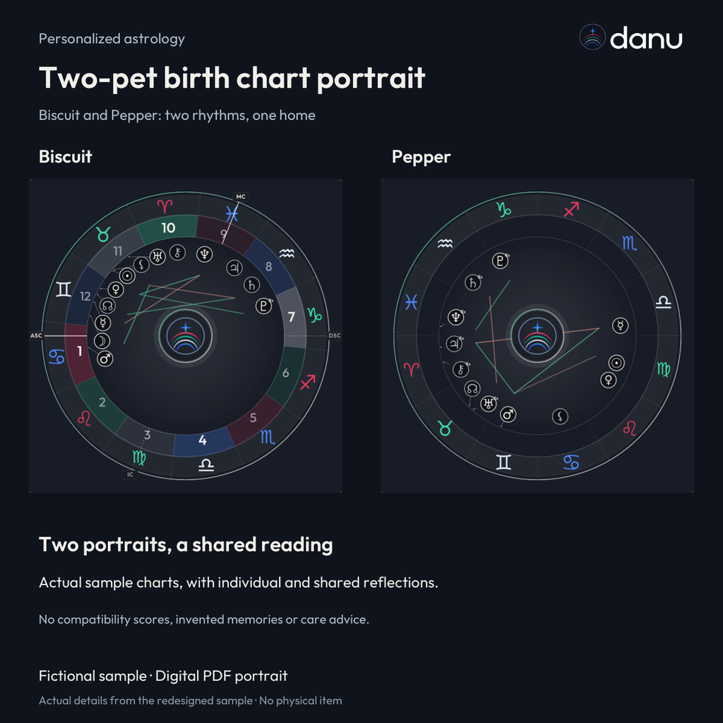 Two-pet birth chart portrait — Standard fictional sample, chart-led product preview