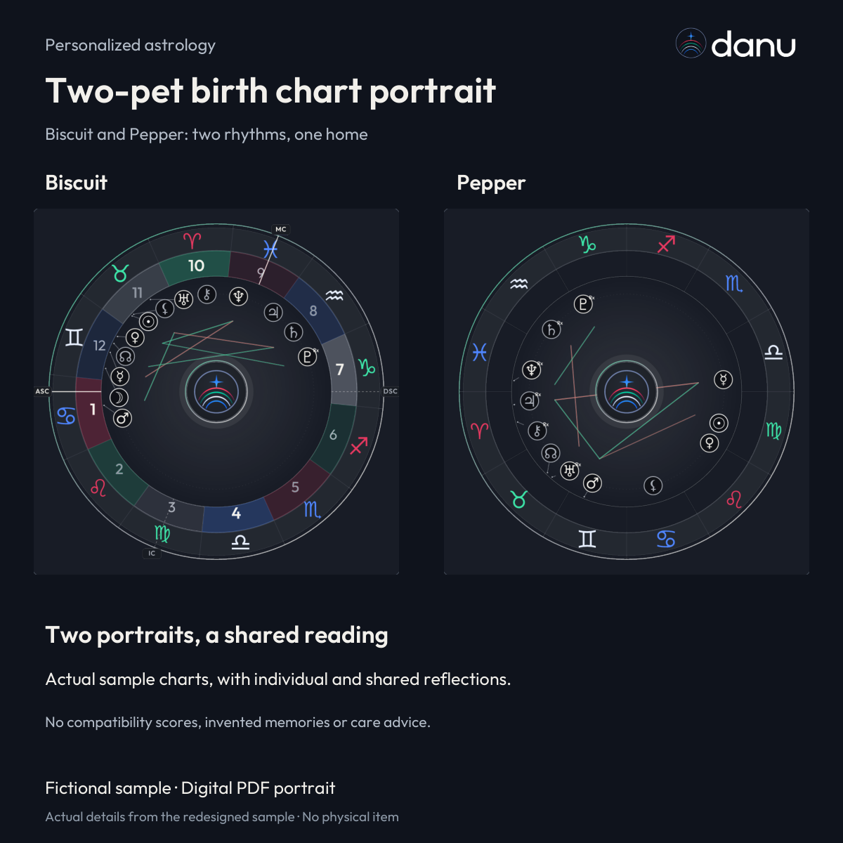 Two-pet birth chart portrait — Standard fictional sample, chart-led product preview