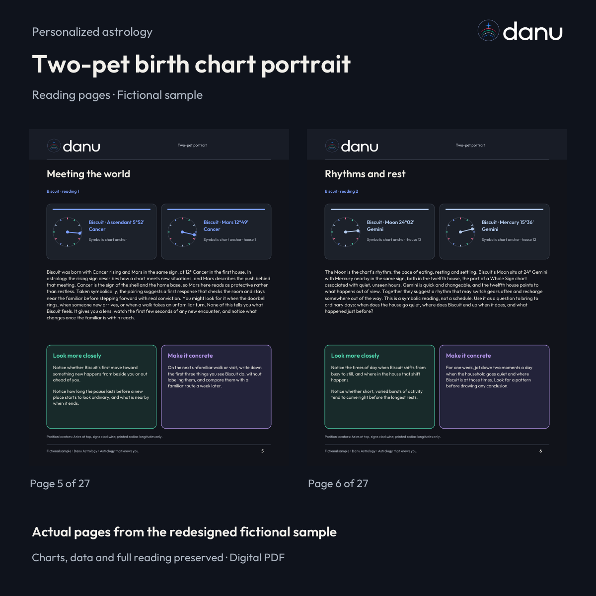 Two-pet birth chart portrait — Standard fictional sample, clearly labeled edition or reading pages
