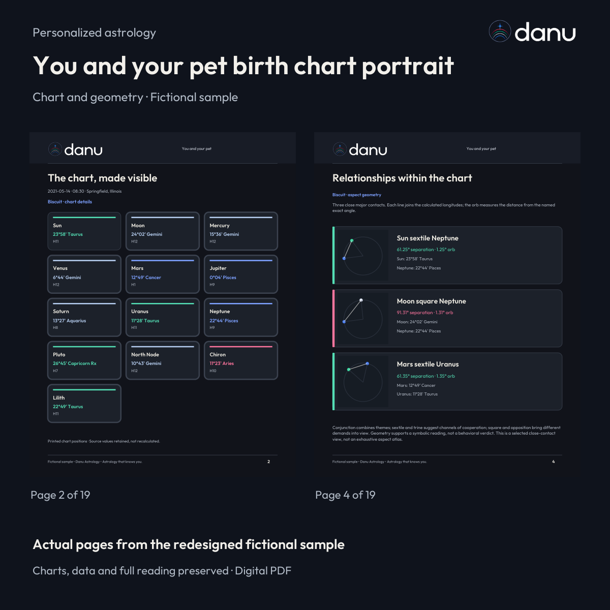 You and your pet birth chart portrait — Standard fictional sample, actual report pages